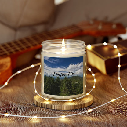 Fraser Fir - Scented Candles(4oz, 9oz)