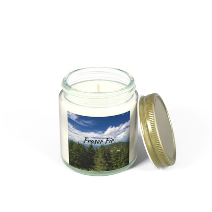 Fraser Fir - Scented Candles(4oz, 9oz)