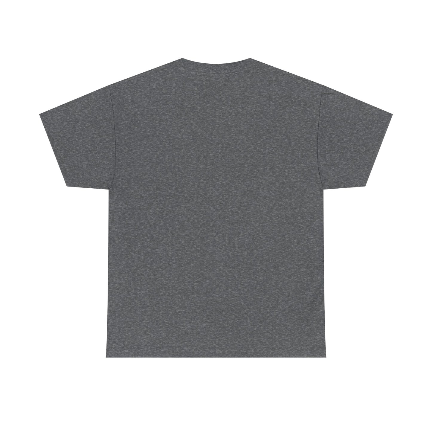 Unisex Heavy Cotton Tee - PhARo Studios Logo