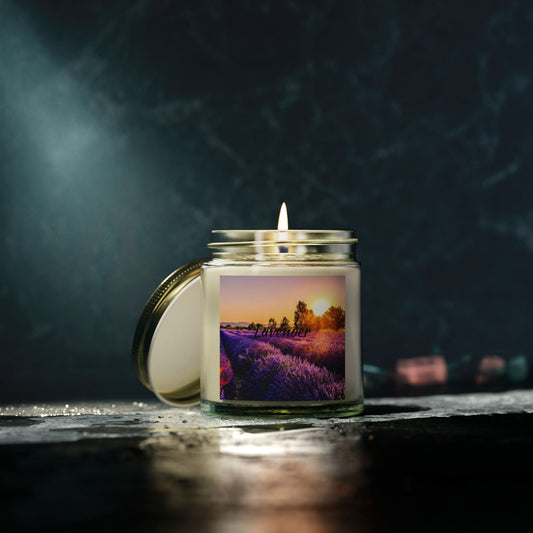 Lavender - Scented Candles(4oz, 9oz)